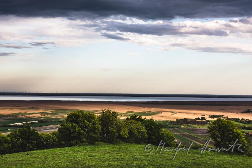 Blick über das Ährenfeld auf den Neusiedlersee