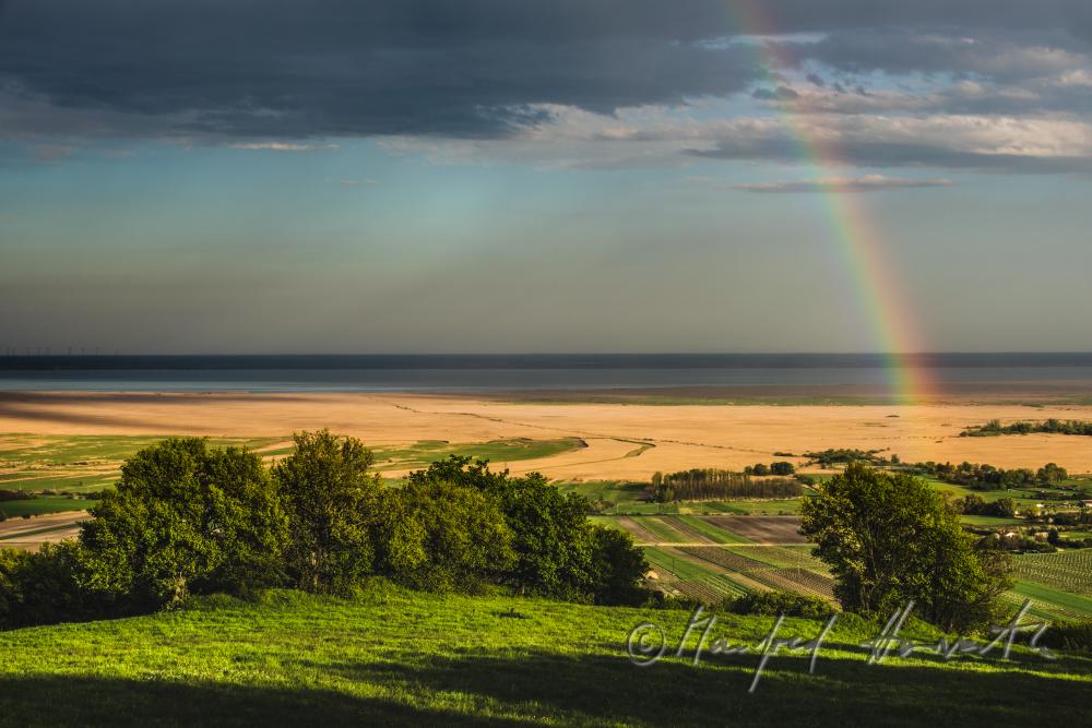 Blick über das Ährenfeld auf den Neusiedlersee