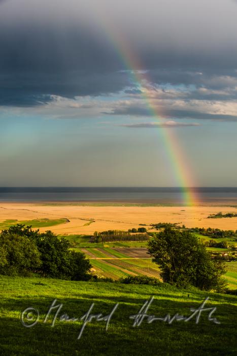 Blick über das Ährenfeld auf den Neusiedlersee