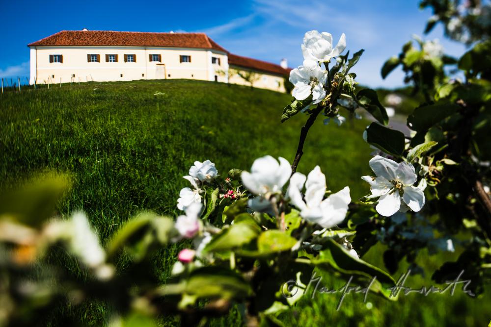 Schloss Tabor auf dem Hügel zum Dreiländereck (B/Slo/Stmk)