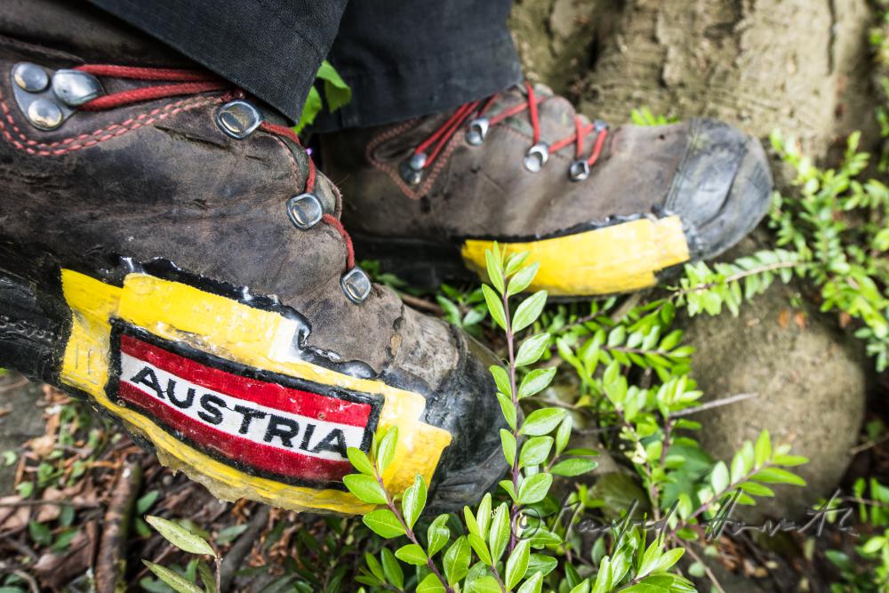 Baumpfleger mit Spezialschuhen zum Erklettern der Bäume
