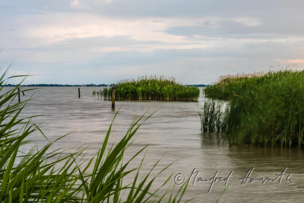 Strand beim Purbacher Kanal beim Schilflehrpfad