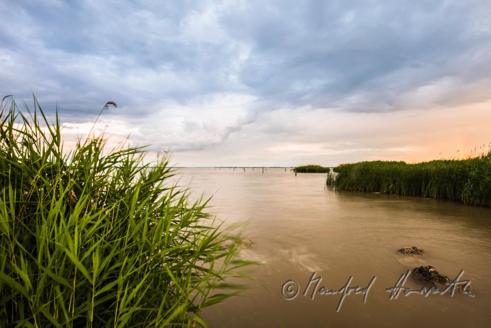 Strand beim Purbacher Kanal beim Schilflehrpfad