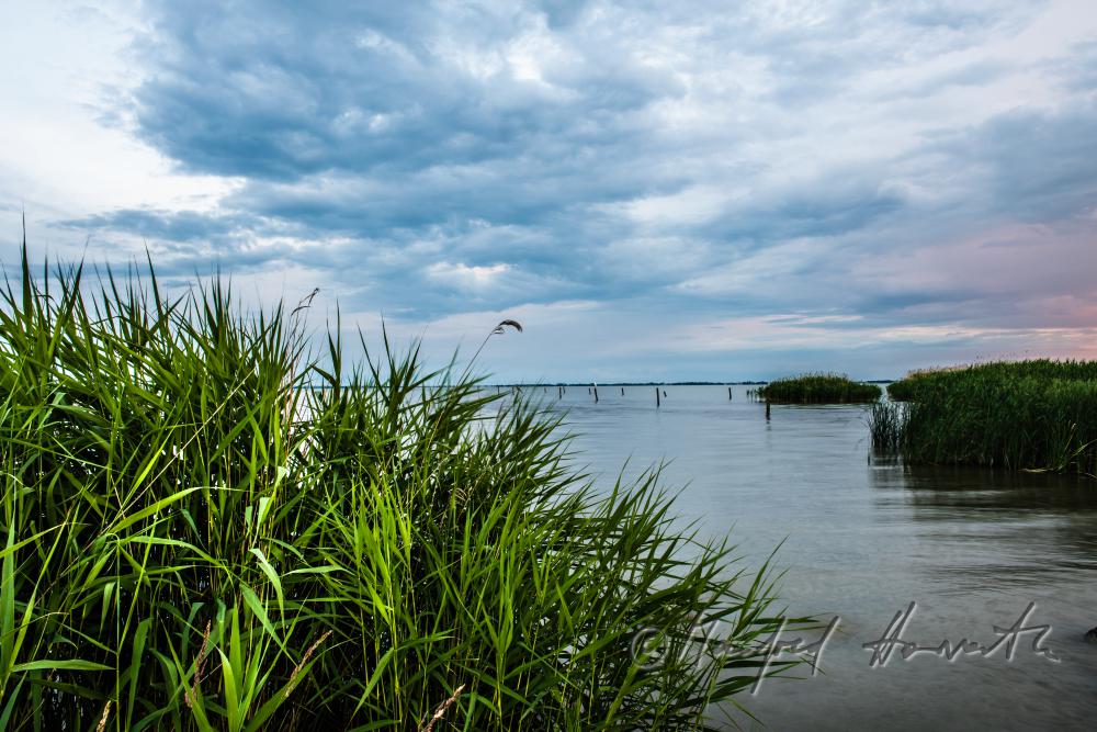 Strand beim Purbacher Kanal beim Schilflehrpfad
