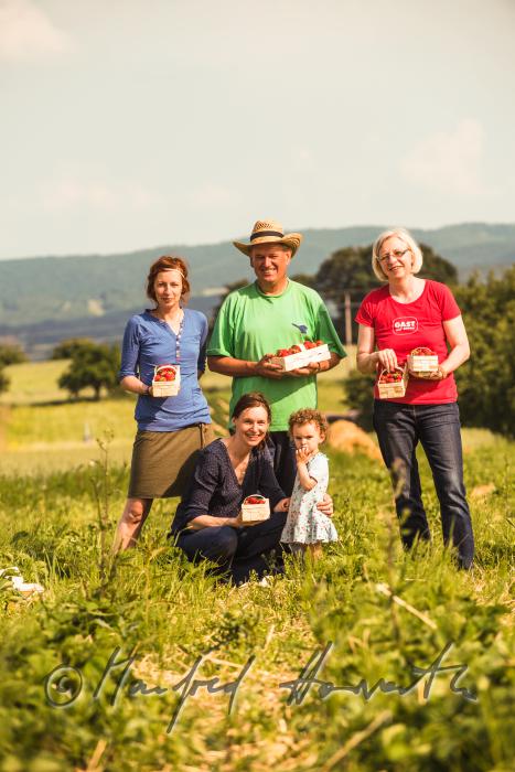 Familie Preisegger bei der Erdbeerernte (Bio-Erdbeeren) im Juli