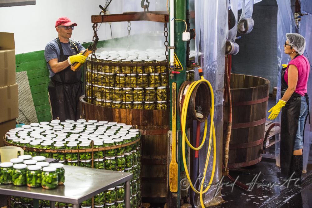 Pasteurisieren von Gurken in einem Holzbottich