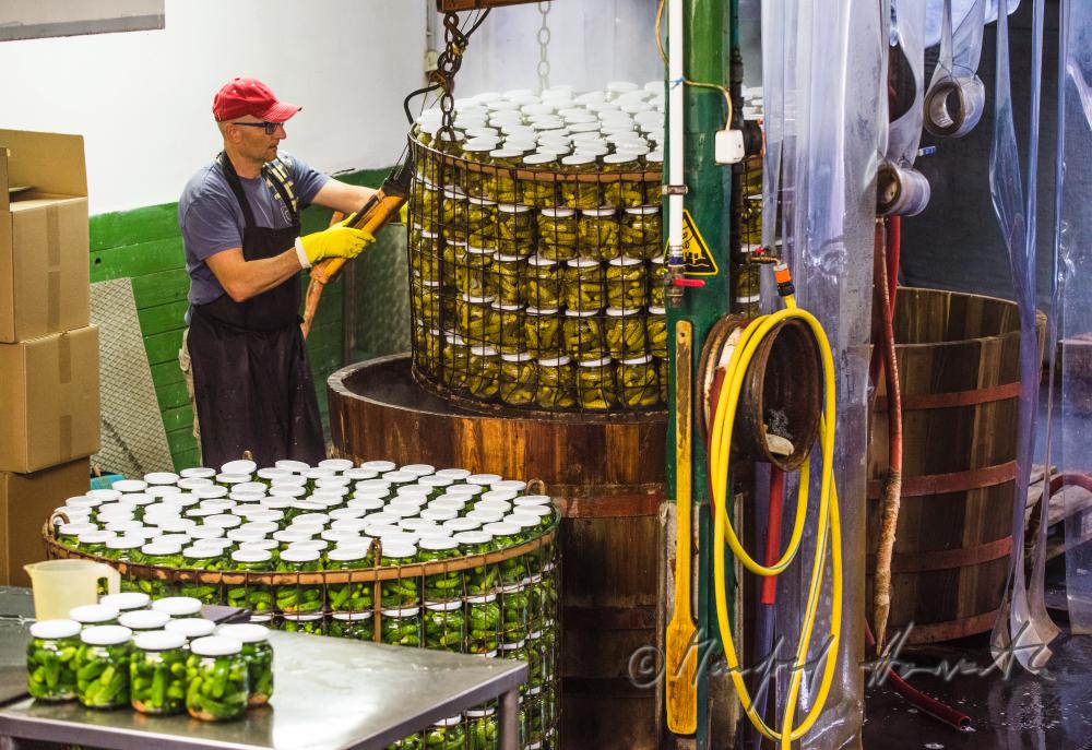 Pasteurisieren von Gurken in einem Holzbottich