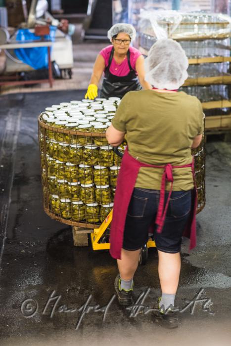 Transport von pasteurisierten Essiggurken in einem Drahtkorb