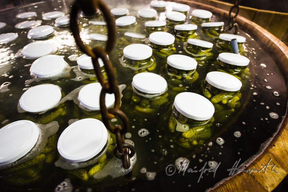 Pasteurisieren von Gurken in einem Holzbottich