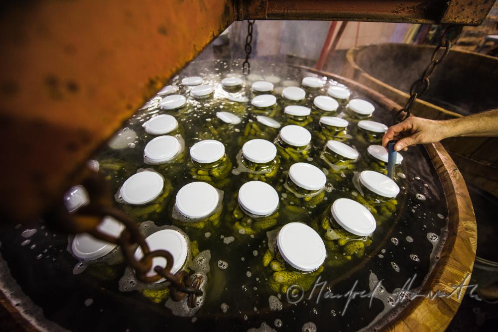 Pasteurisieren von Gurken in einem Holzbottich