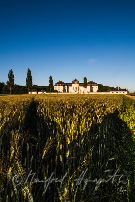 Marchfeld-Schloss Niederweiden und Gerstenfeld
