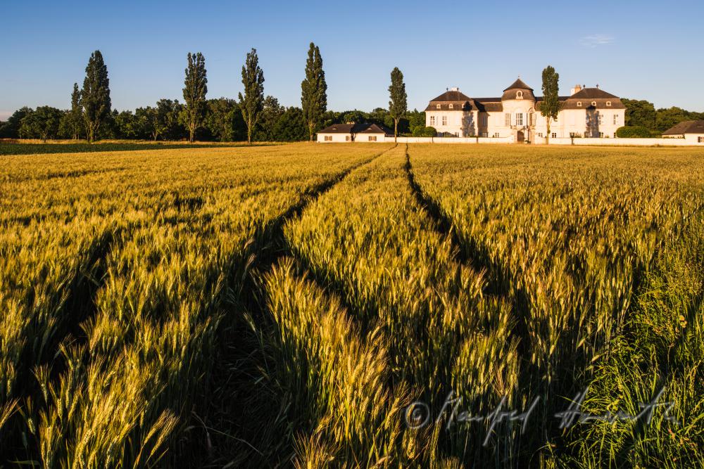 Marchfeld-Schloss Niederweiden und Gerstenfeld