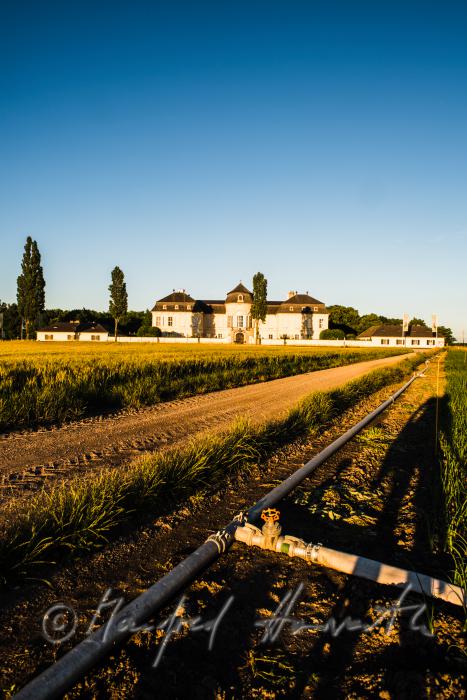 Marchfeld-Schloss Niederweiden und Bewässerung im Feld