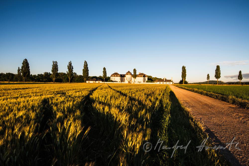 Marchfeld-Schloss Niederweiden und Gerstenfeld