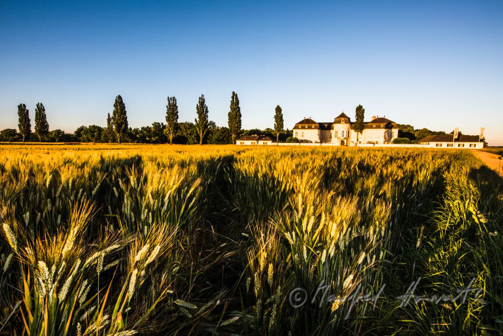 Marchfeld-Schloss Niederweiden und Gerstenfeld