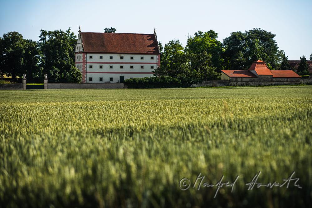 Getreidefeld und Schüttkasten mit Ortsansicht