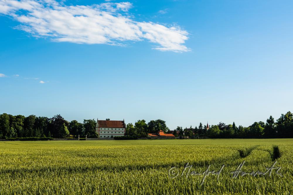 Getreidefeld und Schüttkasten mit Ortsansicht