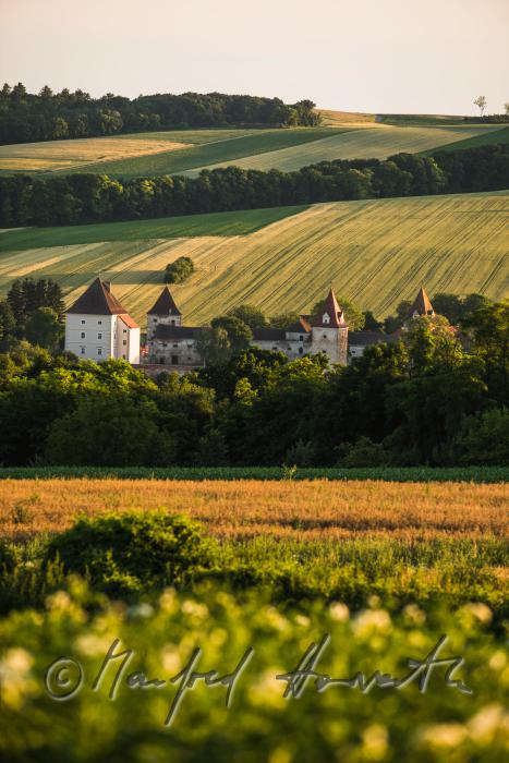 Blick vom Hügel auf das Schloss Steinabrunn