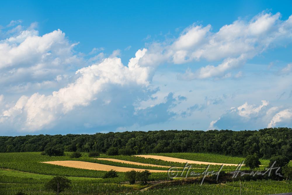 Blick vom Dorfzentrum zum Leithaberg