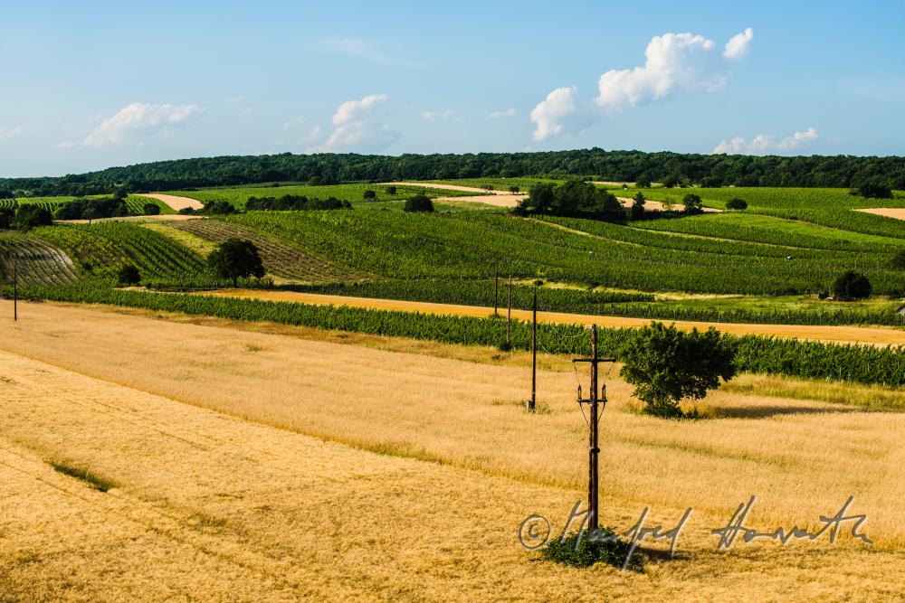 Blick vom Dorfzentrum zum Leithaberg