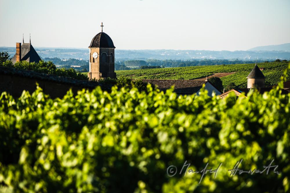 Schloss und Weinberge des Weinbaugebietes Beaujolais