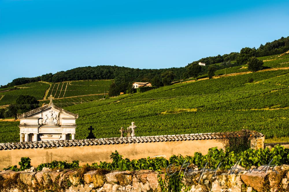 Friedhof und Weinberge des Weinbaugebietes Beaujolais
