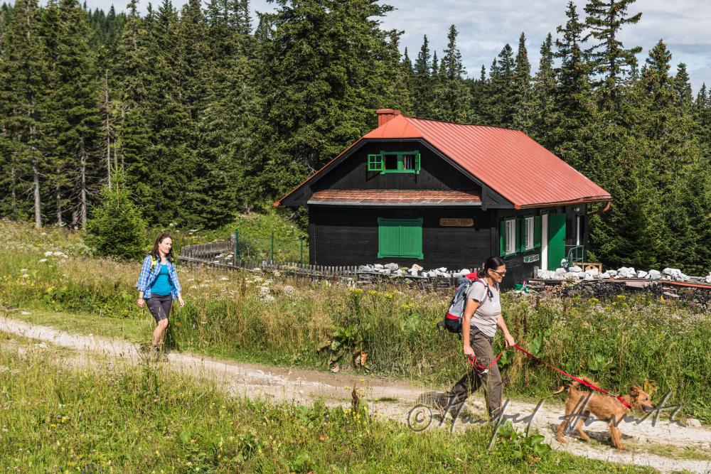 Wanderer mit Hund auf dem Höhenweg beim Erzherzog-Otto-Schutzhaus