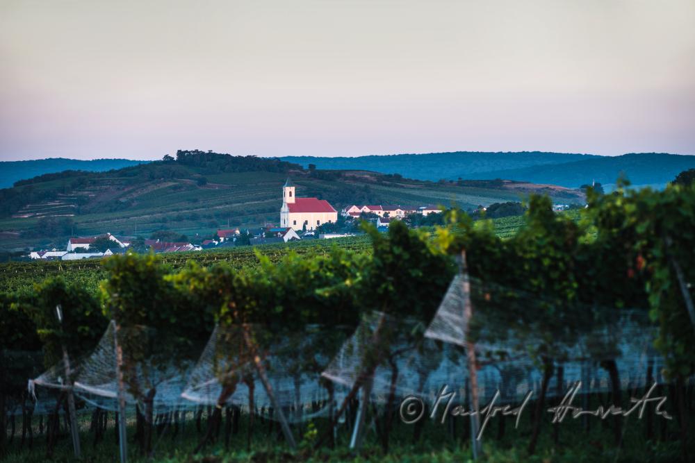 Blick von Neusiedl auf den Hackelsberg und das Leithagebirge