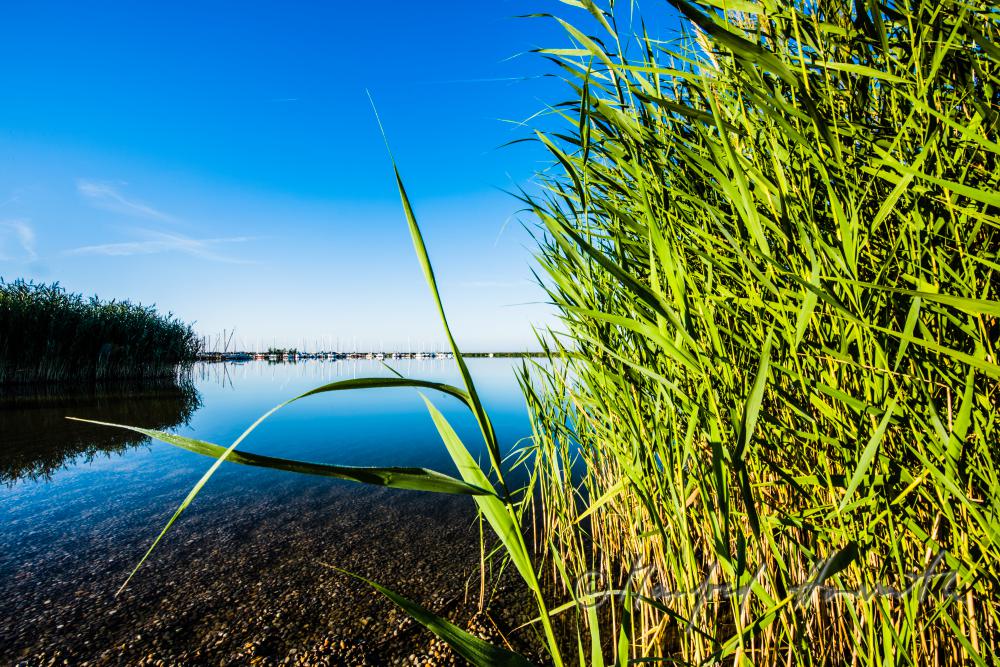 Segelboot im Schilfkanal in der Bucht bei der Seejungfrau