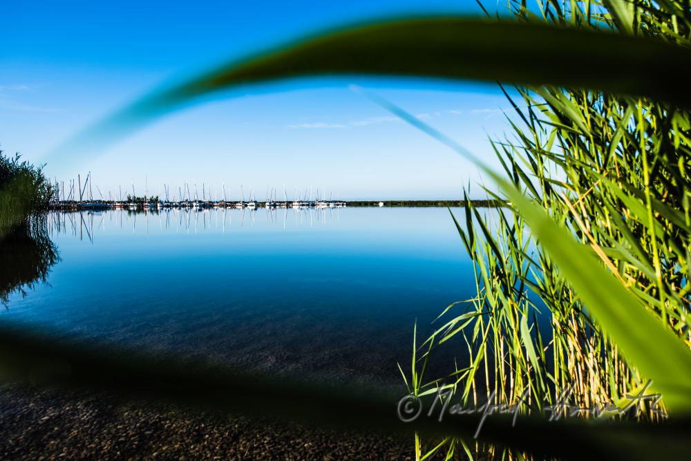 Segelboot im Schilfkanal in der Bucht bei der Seejungfrau
