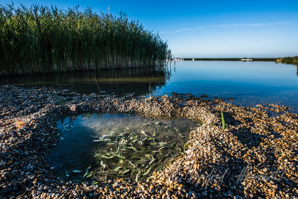 Segelboot im Schilfkanal in der Bucht bei der Seejungfrau