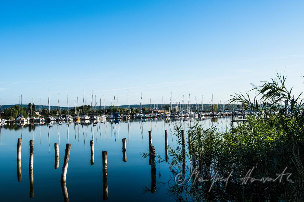 Blick vom Hafen zum Leithagebirge