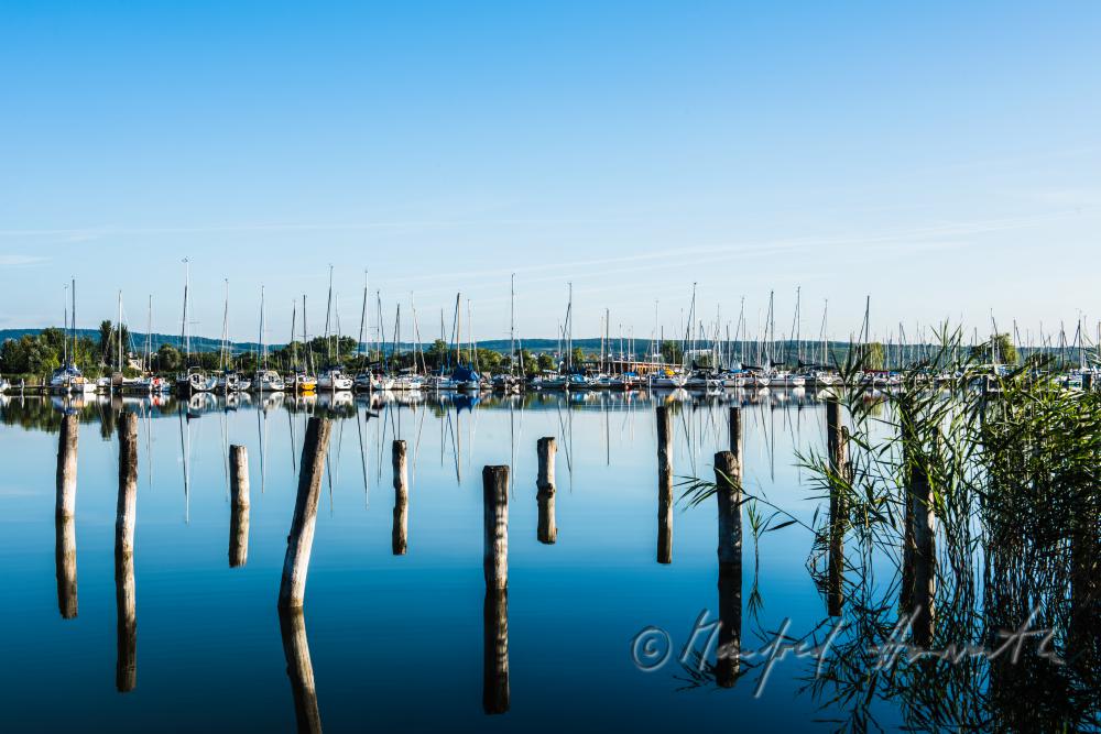 Blick vom Hafen zum Leithagebirge