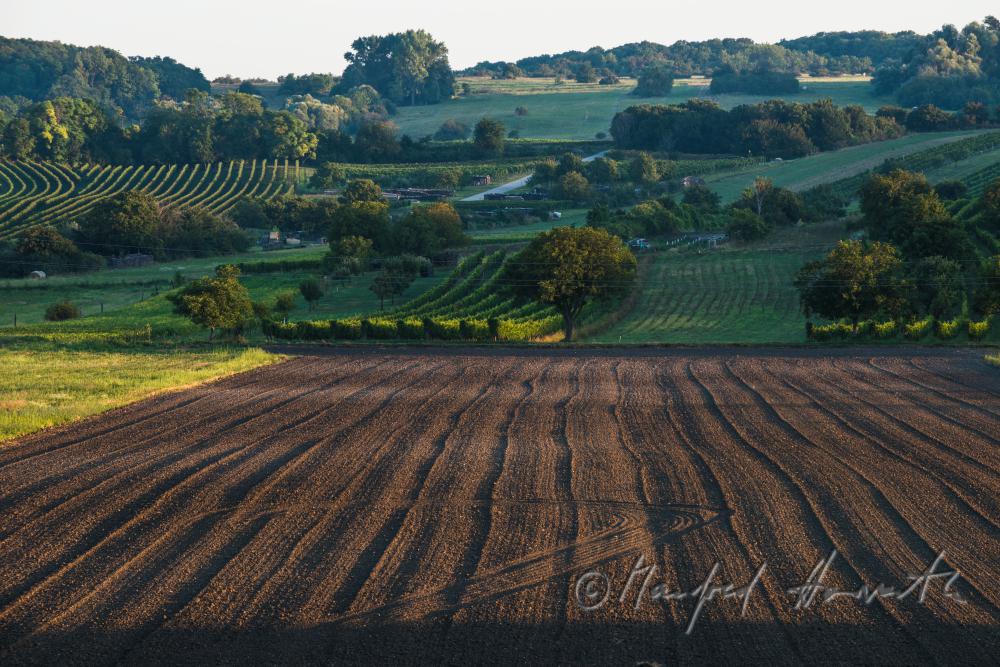 Blick vom Dorfzentrum zum Leithaberg