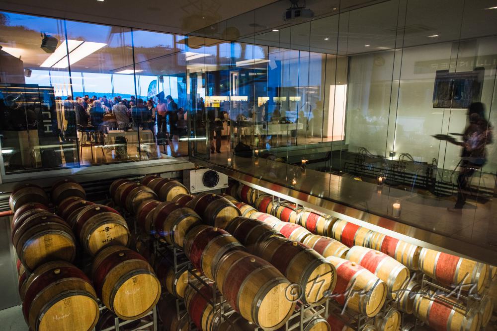 Weinverkostung im Weingut Hillinger