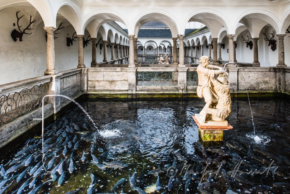 Barocke Statue des David im Fischkalter