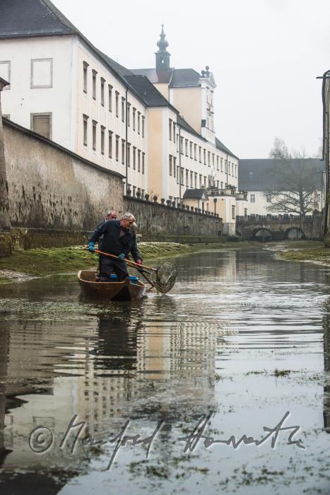 Fischer beim Forellenteich (Wassergraben) des Stiftes