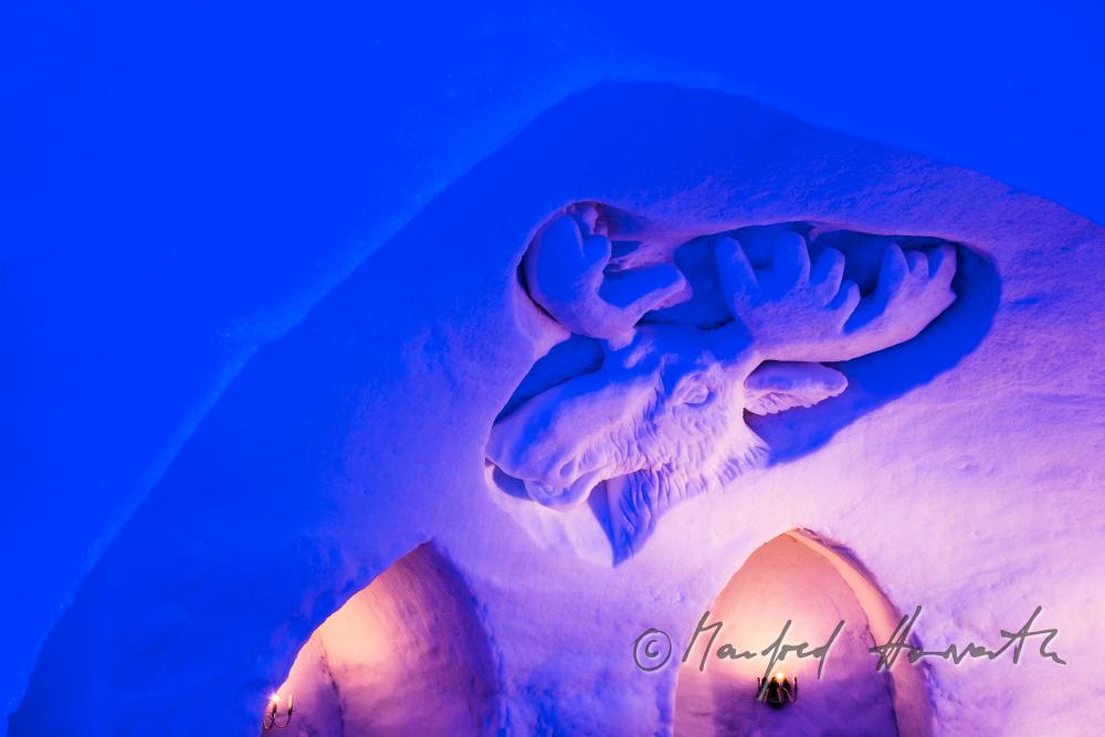 Elch aus Eis als Dekoration im Iglu-Hotel