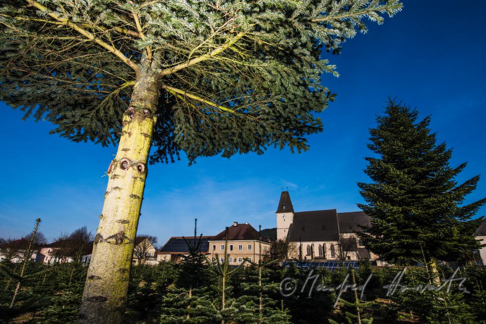 Wallfahrtskirche Maria Laach