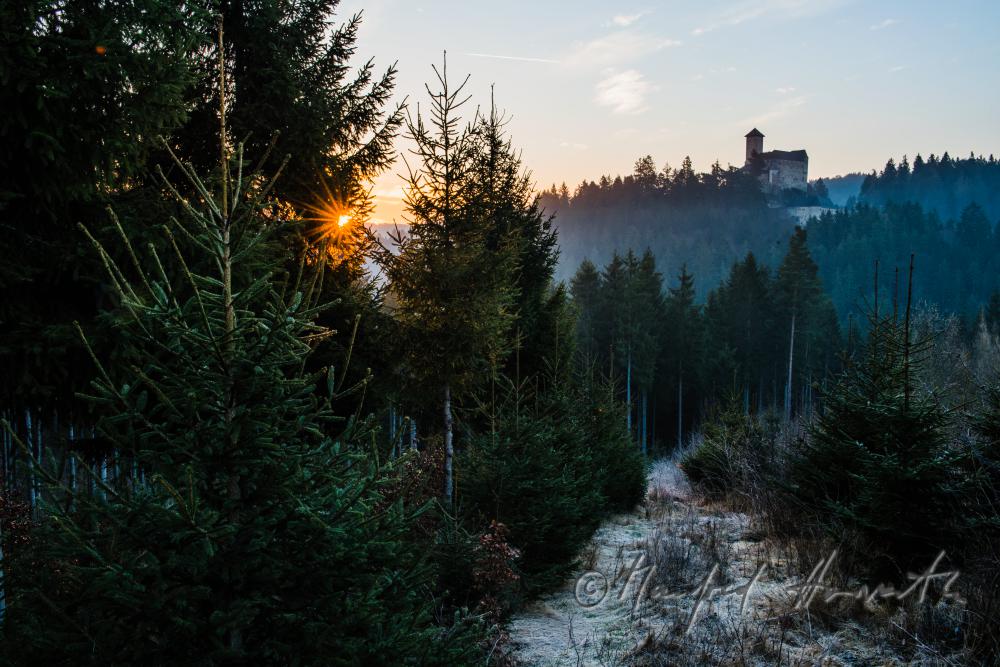 mittelalterlich Burg Rappottensteinvon 1150
