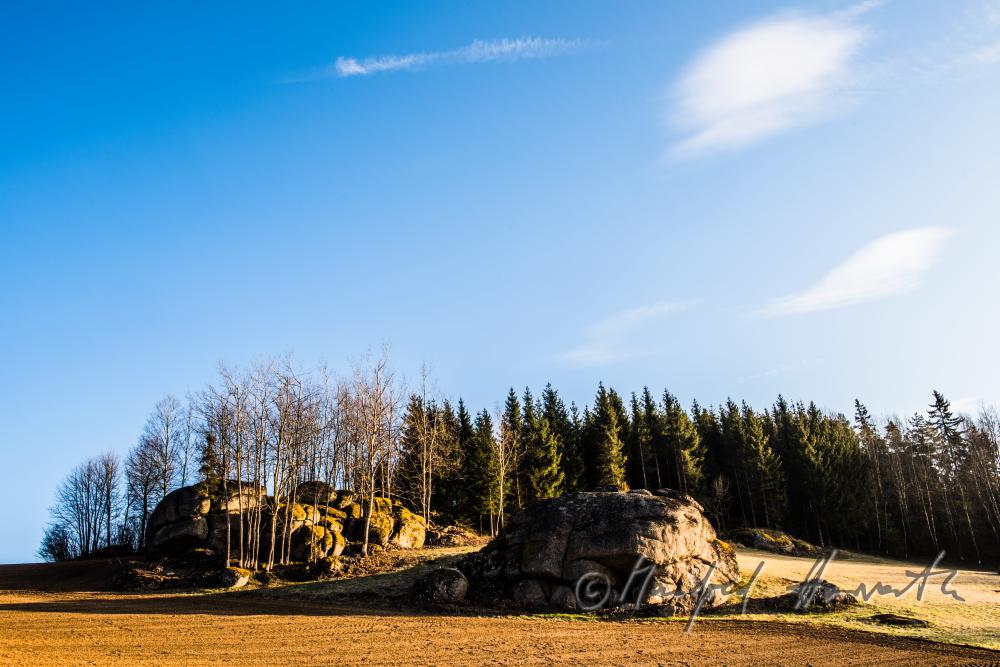 Granit-Findlinge am Waldrand bei einem Feld