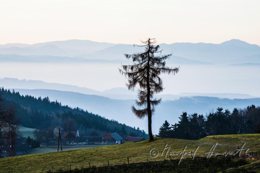 Blick vom Jauerling nach Süden