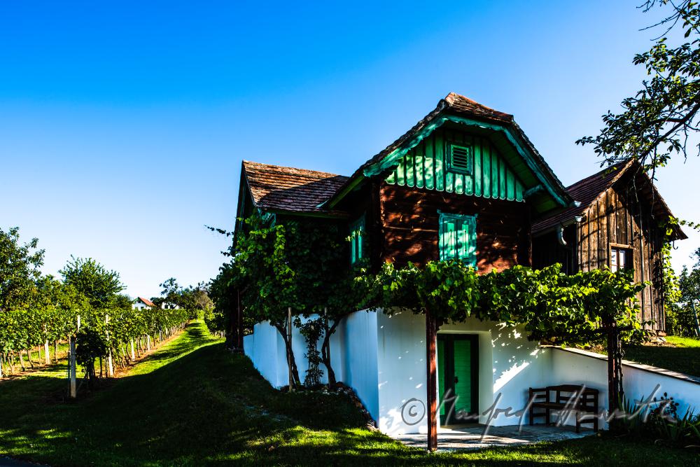 typischer burgenländischer Weinkeller in den Weinbergen