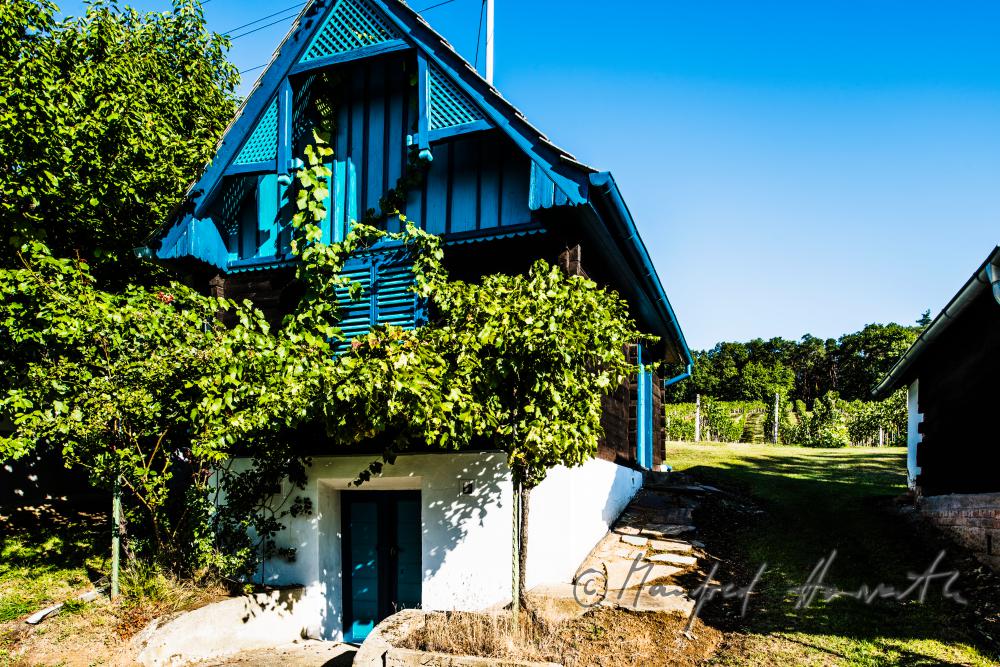 typischer burgenländischer Weinkeller in den Weinbergen
