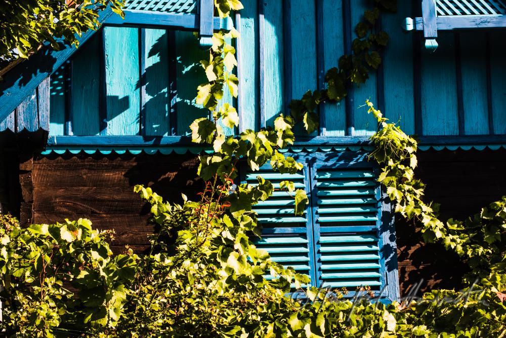 typischer burgenländischer Weinkeller in den Weinbergen