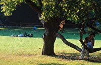 f1l420112