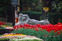 f1l420115