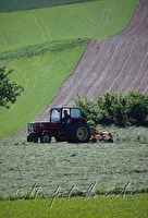 f1r100120