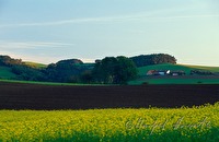 f1r100613