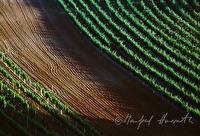 f2l010114